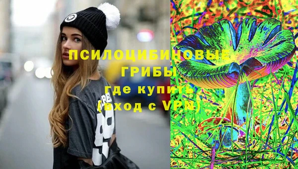 Альфа ПВП Заволжск