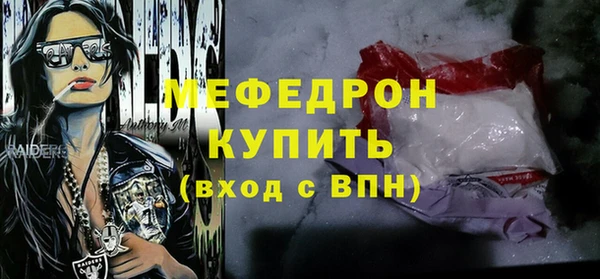амф Гусев