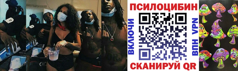 Галлюциногенные грибы Psilocybe  даркнет сайт  Инсар 